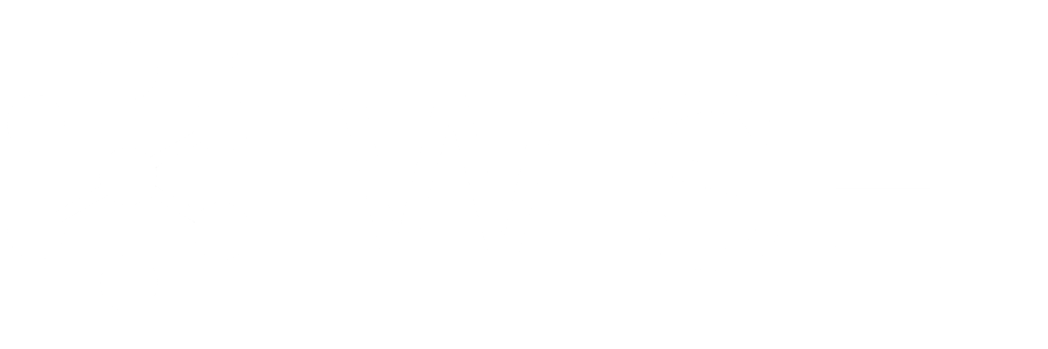 Wise Logo